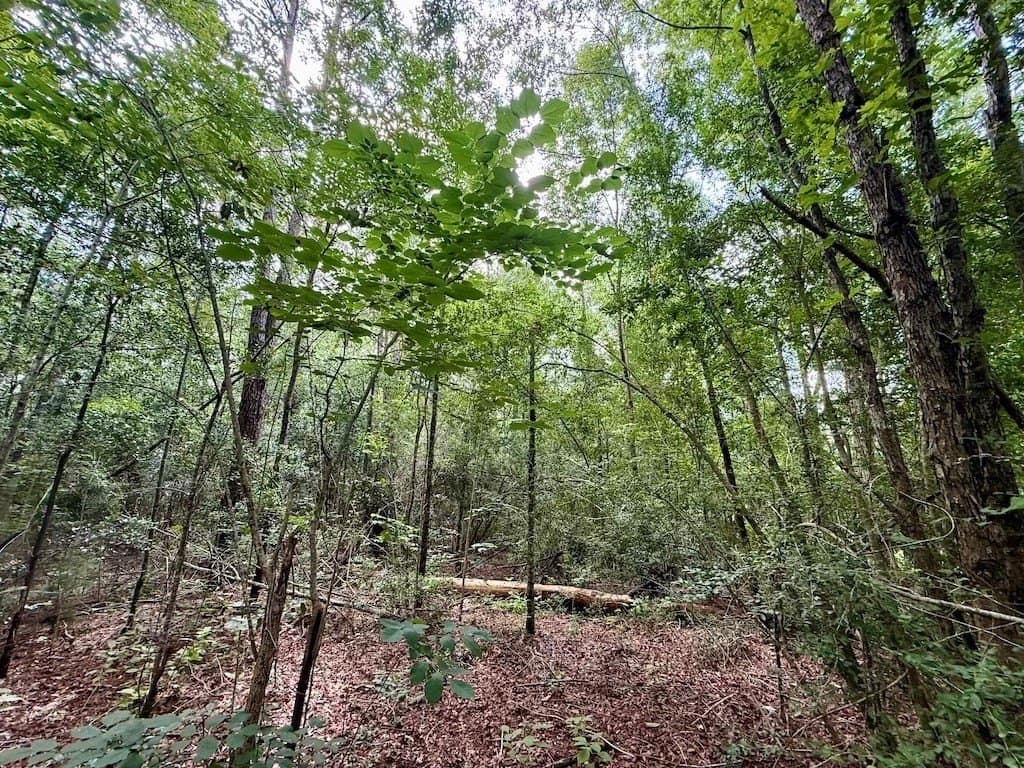 9.74 acres in Texas County - photo 17