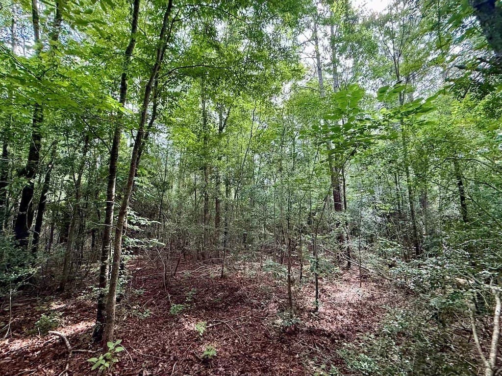 9.74 acres in Texas County - photo 18