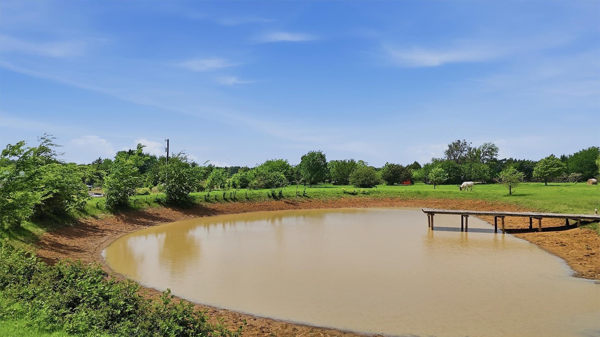 13.65 acres in Grayson County - photo 10