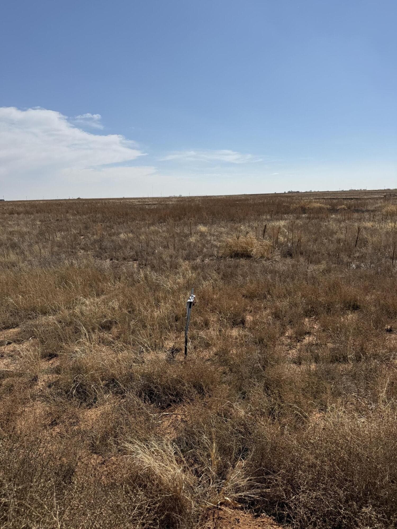 10.01 acres in Lubbock County