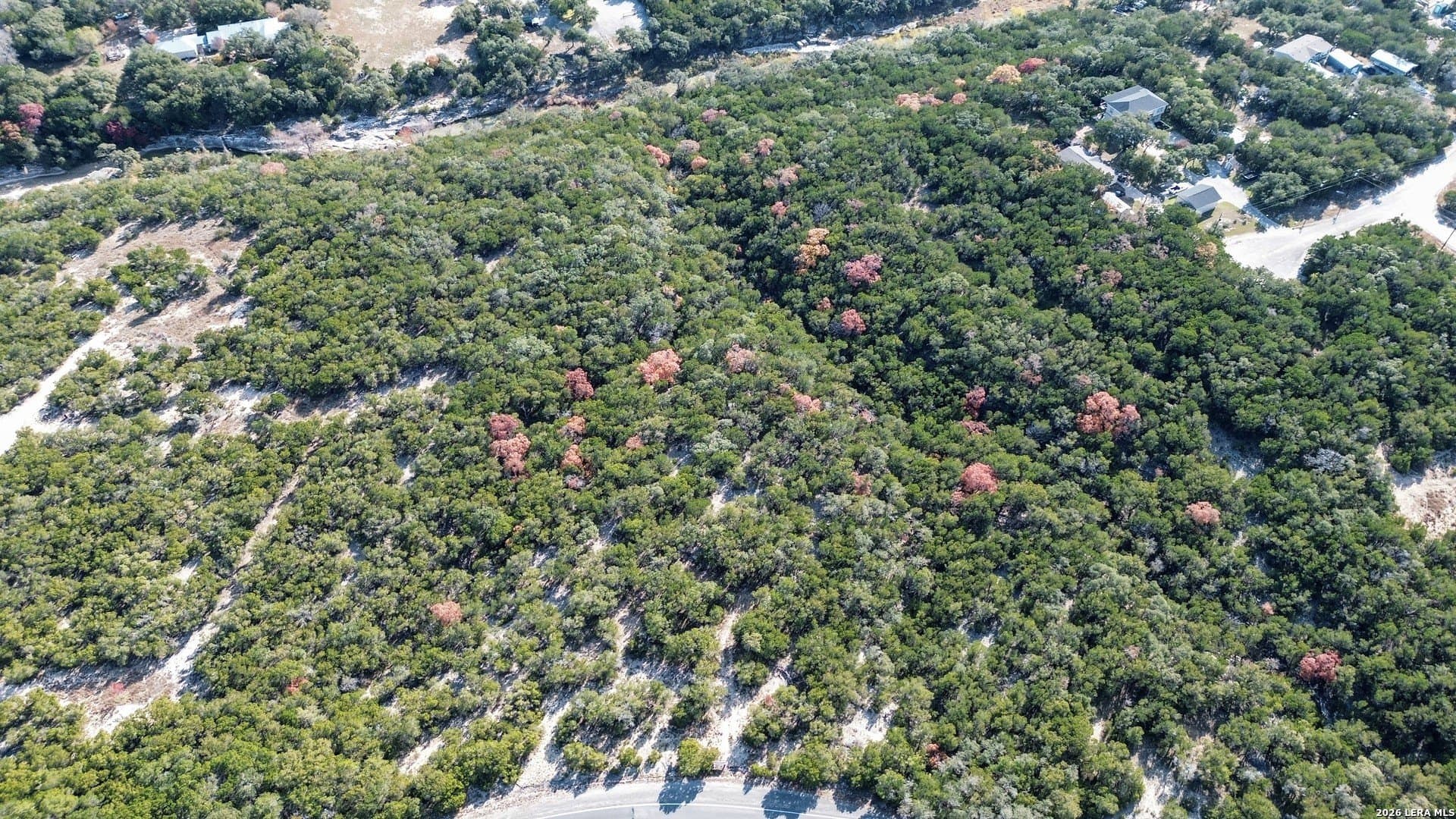 10 acres in Bandera County - photo 11