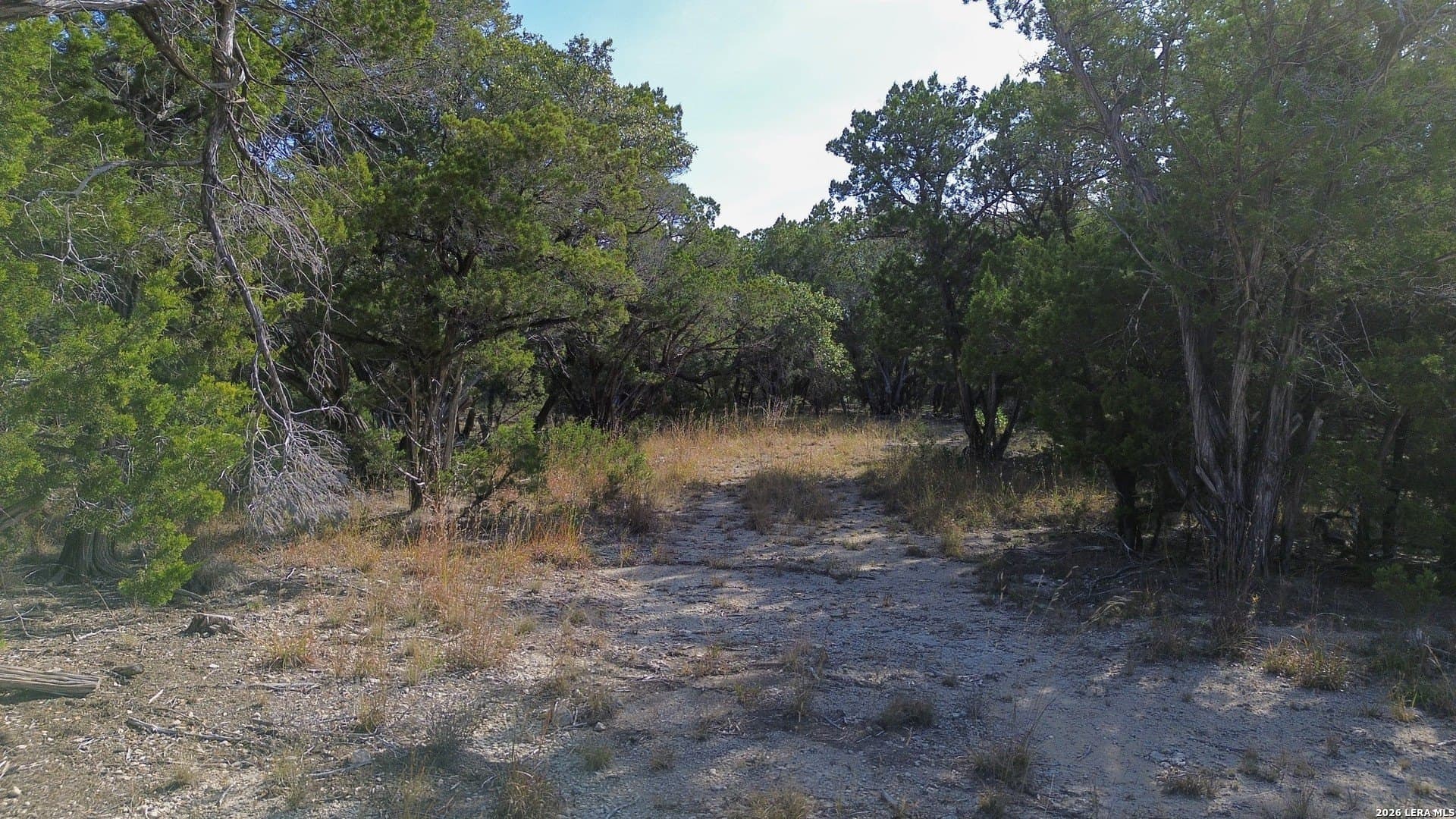 10 acres in Bandera County - photo 24