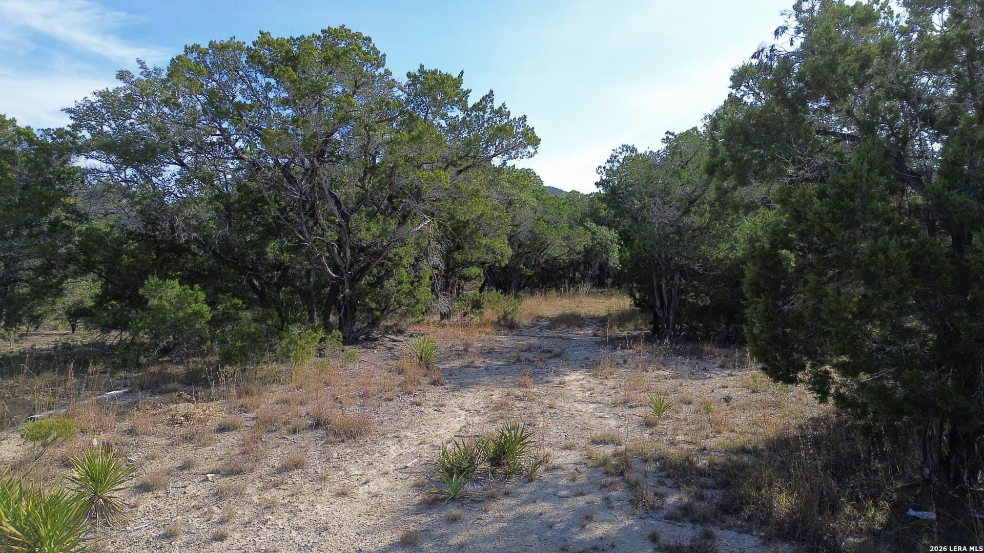 10 acres in Bandera County - photo 23