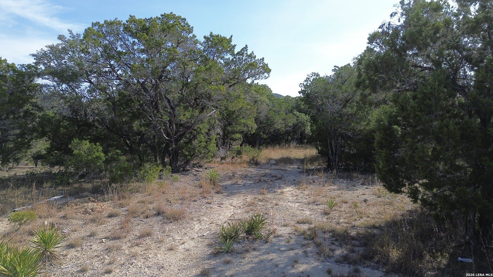 10 acres in Bandera County featured view