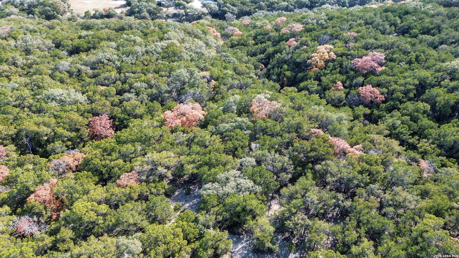10 acres in Bandera County - photo 28
