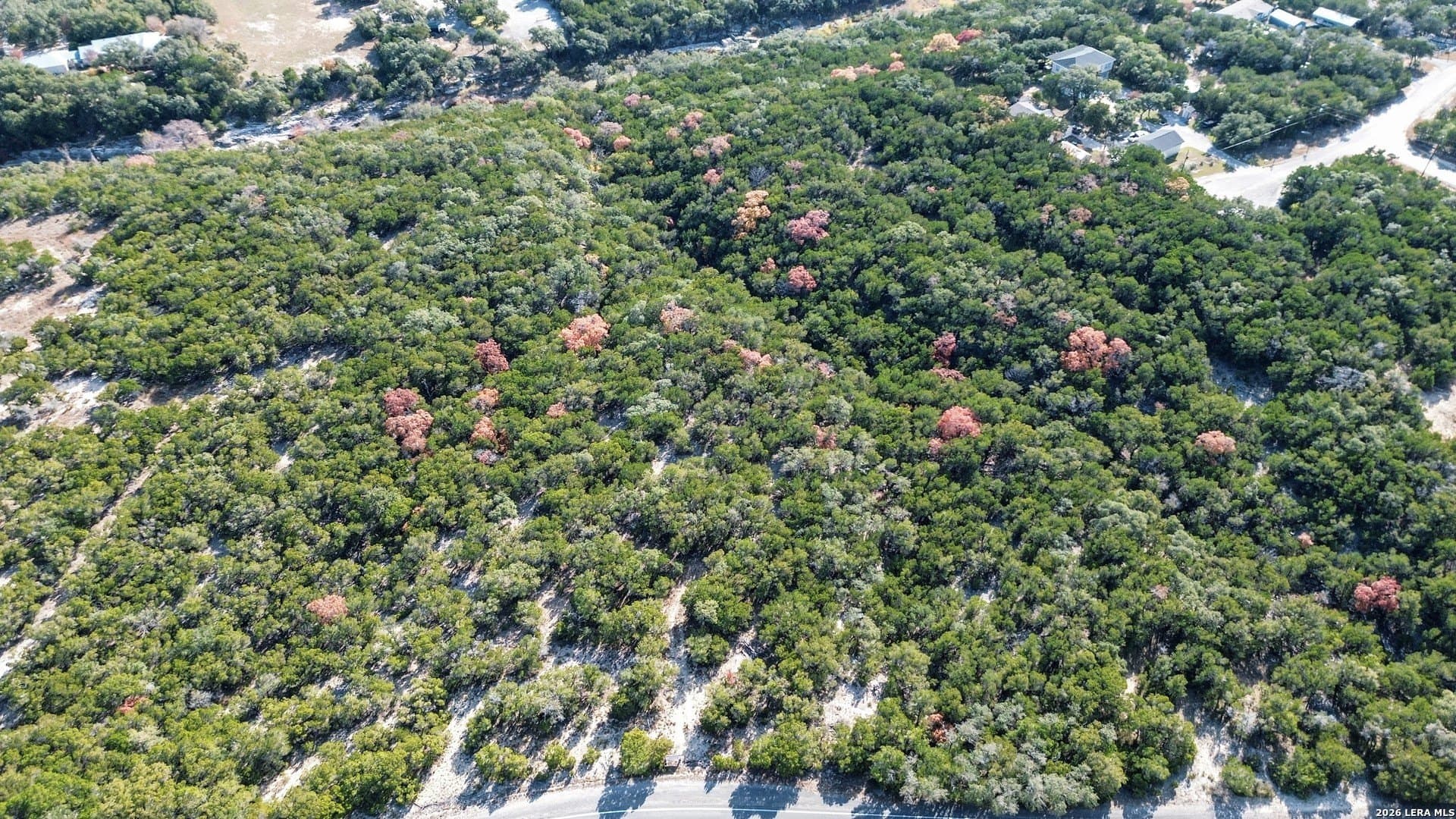 10 acres in Bandera County - photo 10