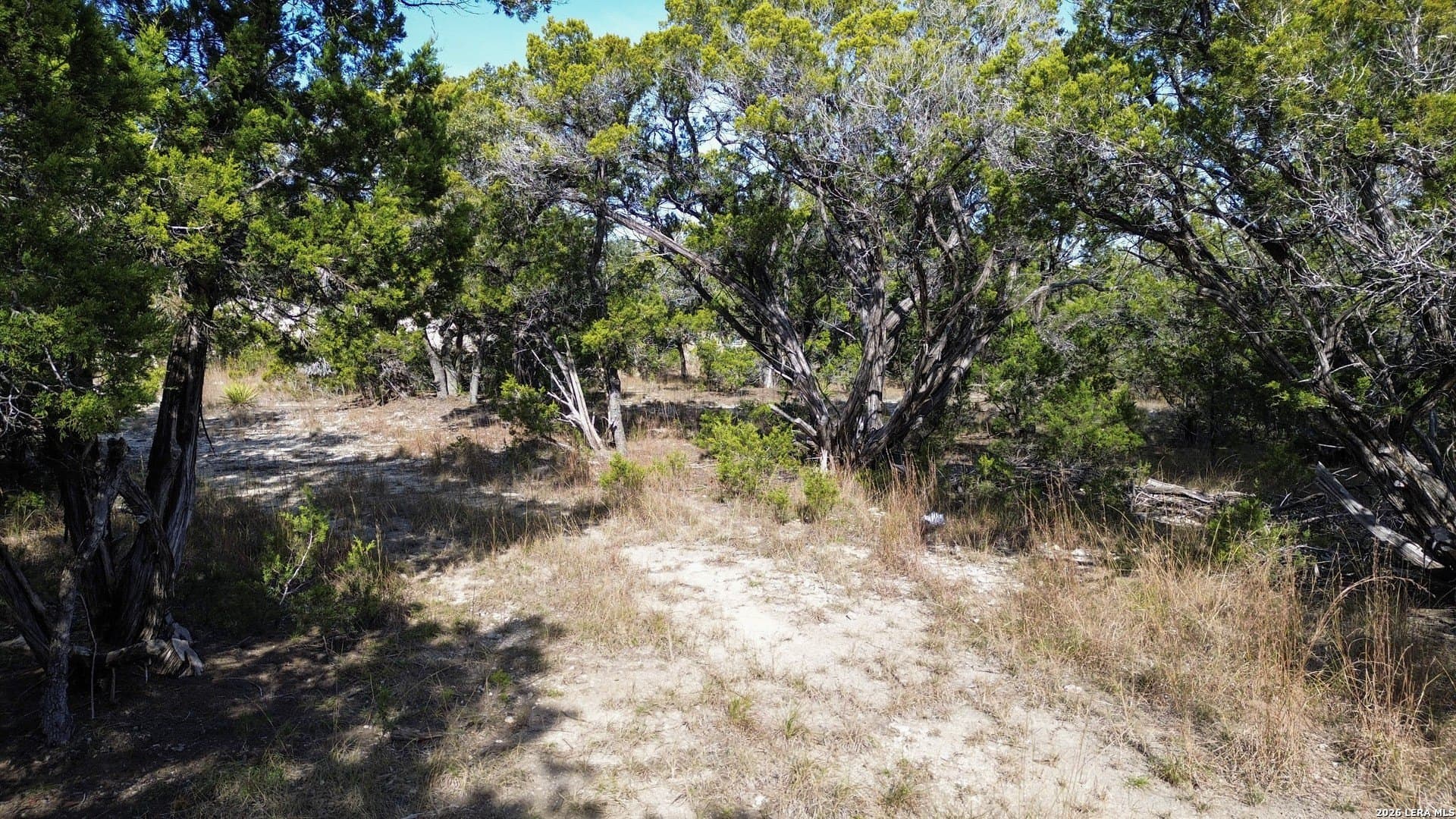 10 acres in Bandera County gallery image 4