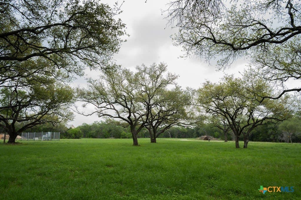21 acres in Comal County - photo 35