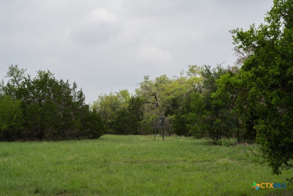 21 acres in Comal County - photo 23