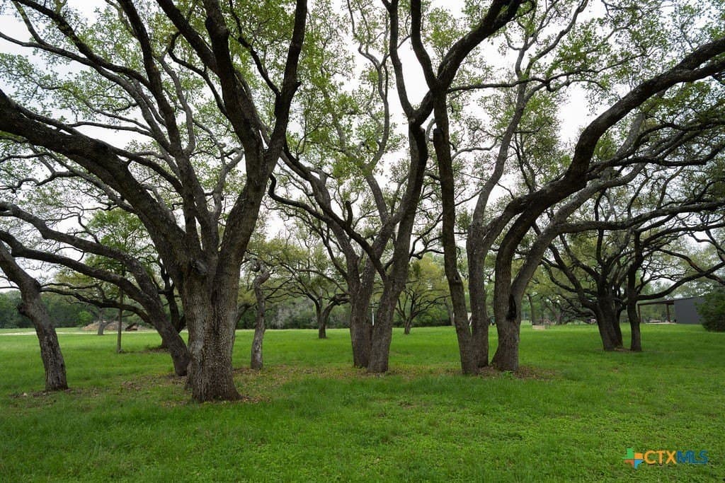 21 acres in Comal County - photo 34