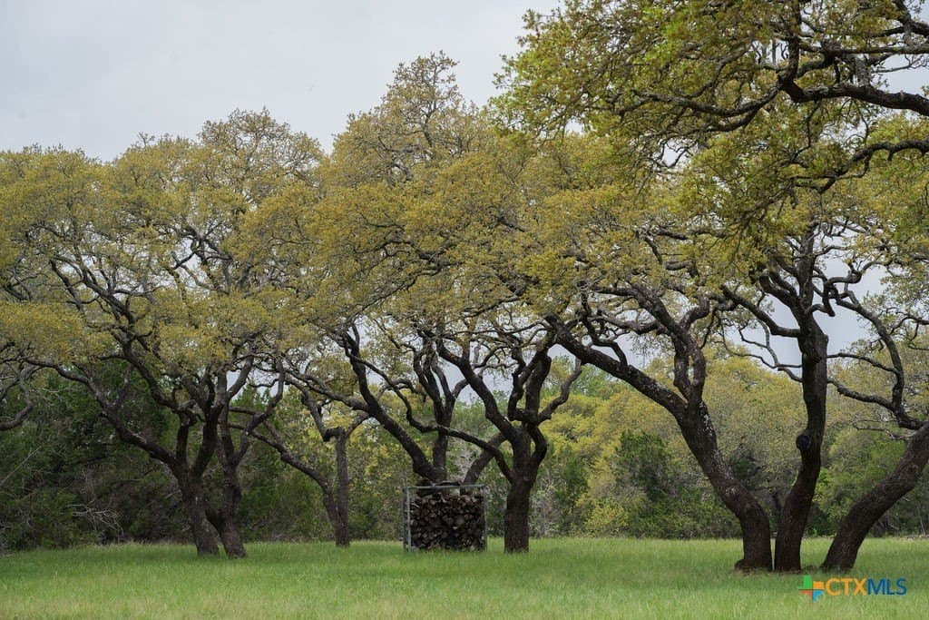 21 acres in Comal County - photo 29