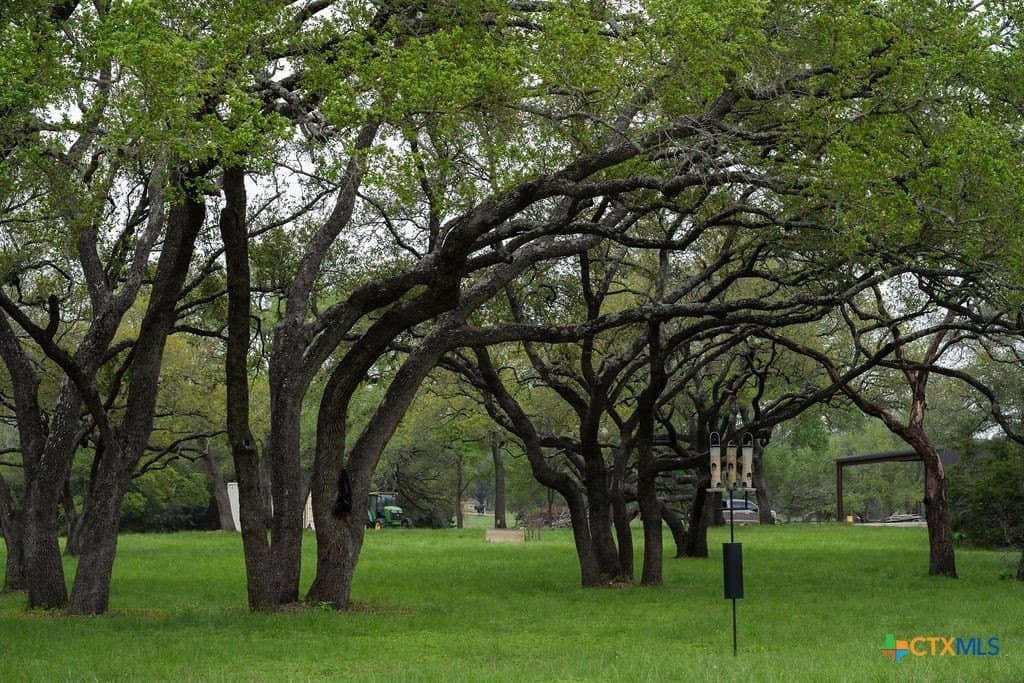 21 acres in Comal County - photo 32