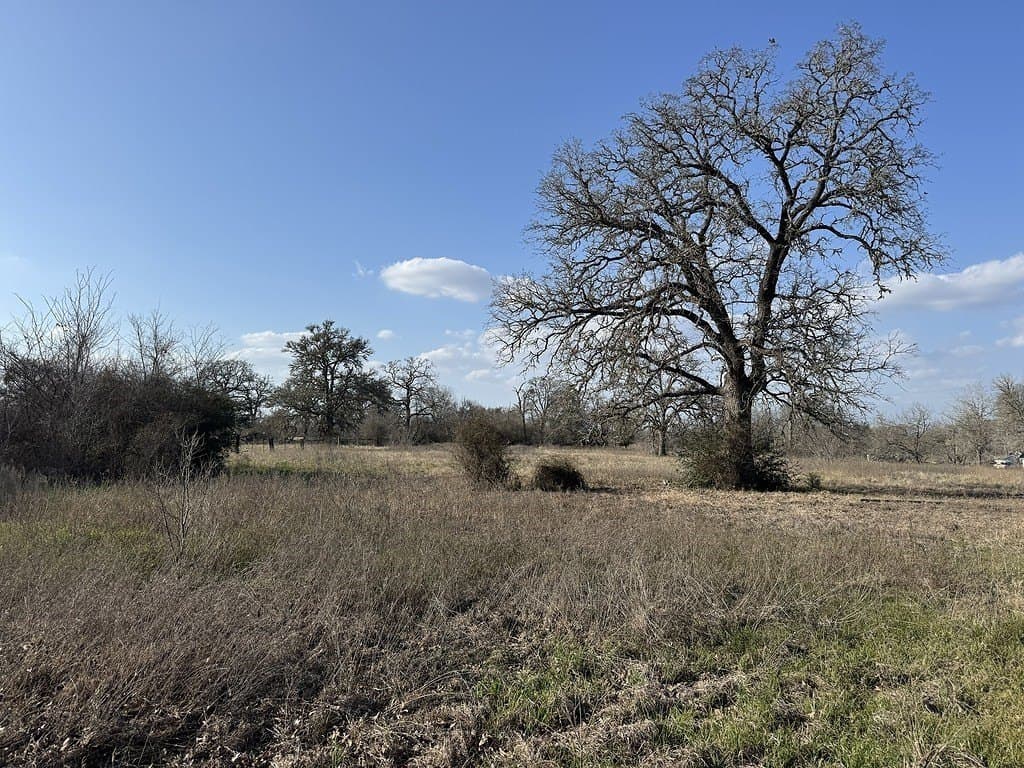 7 acres in Washington County - photo 5