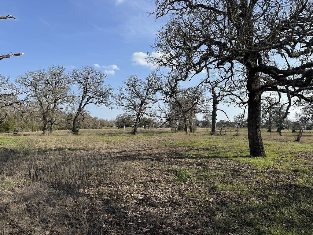 7 acres in Washington County - photo 4