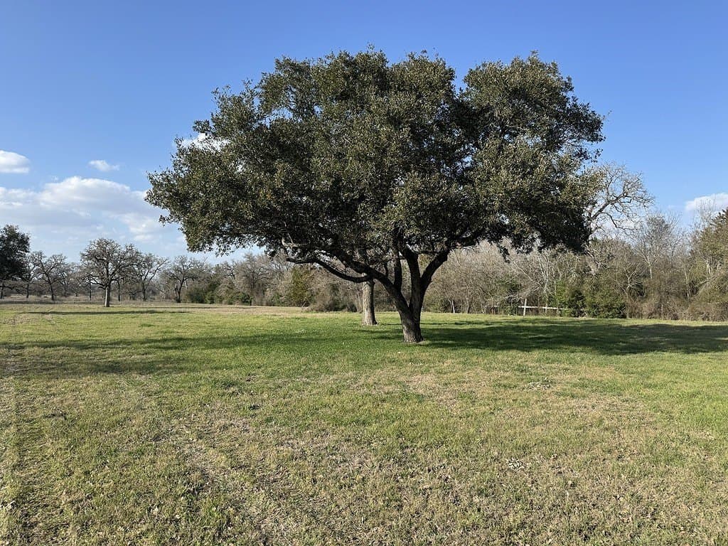 7 acres in Washington County