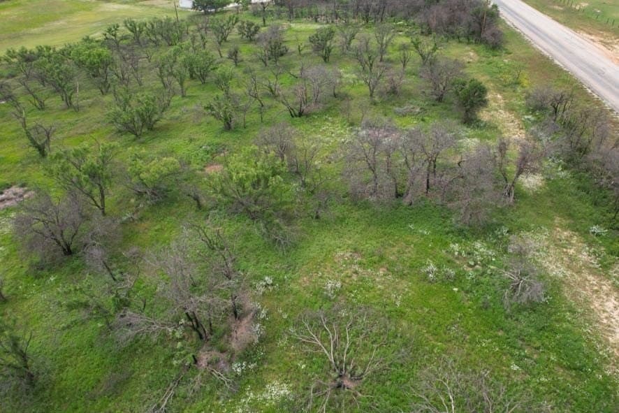 93.57 acres in Jones County - photo 22