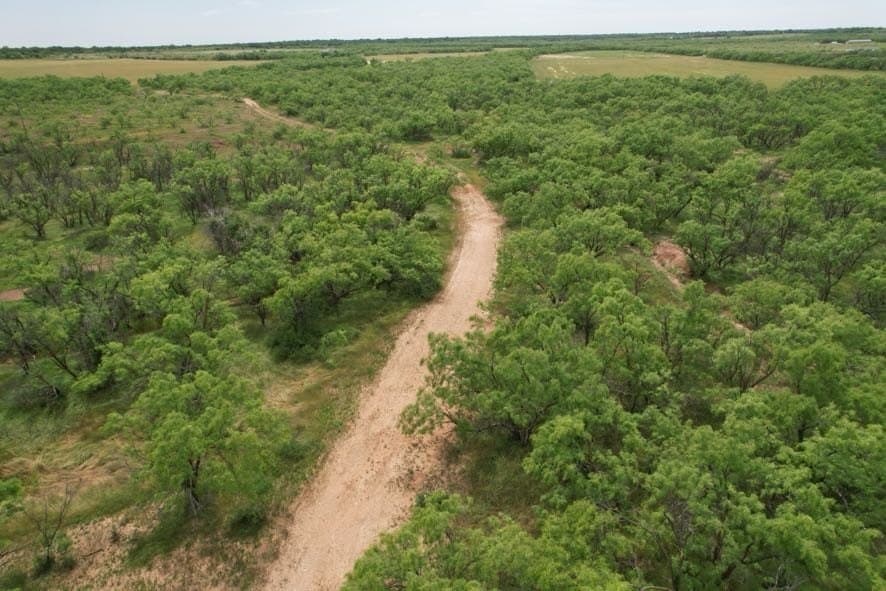 93.57 acres in Jones County - photo 31