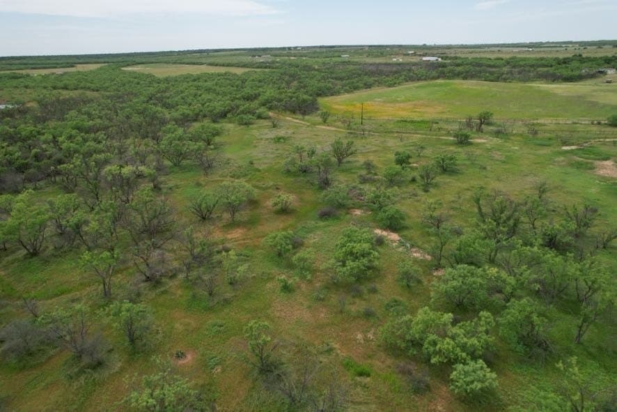 93.57 acres in Jones County - photo 15