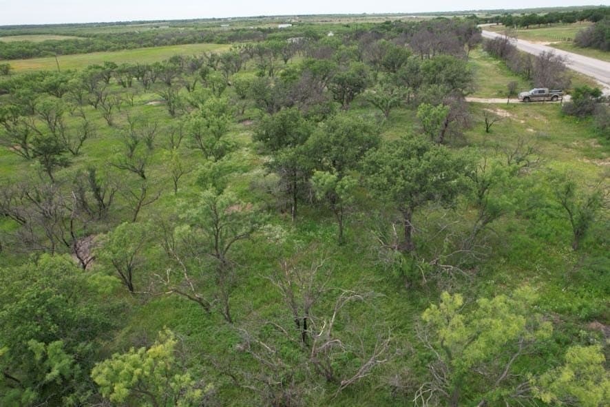 93.57 acres in Jones County - photo 11