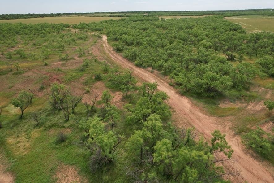93.57 acres in Jones County - photo 24