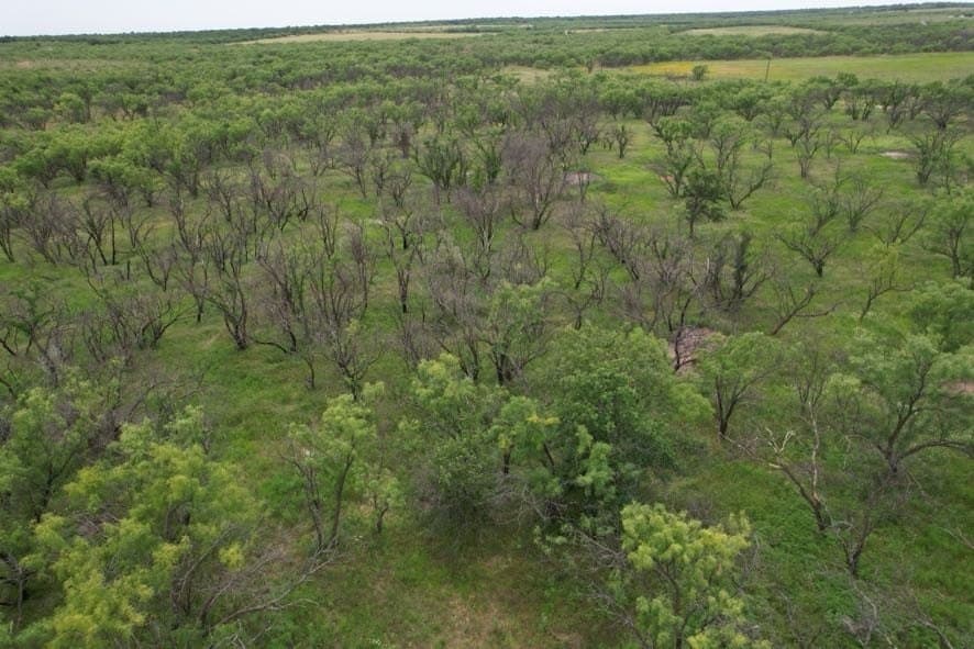 93.57 acres in Jones County - photo 10
