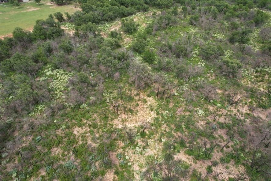 93.57 acres in Jones County - photo 19