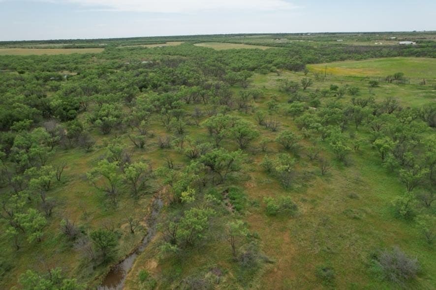 93.57 acres in Jones County - photo 14