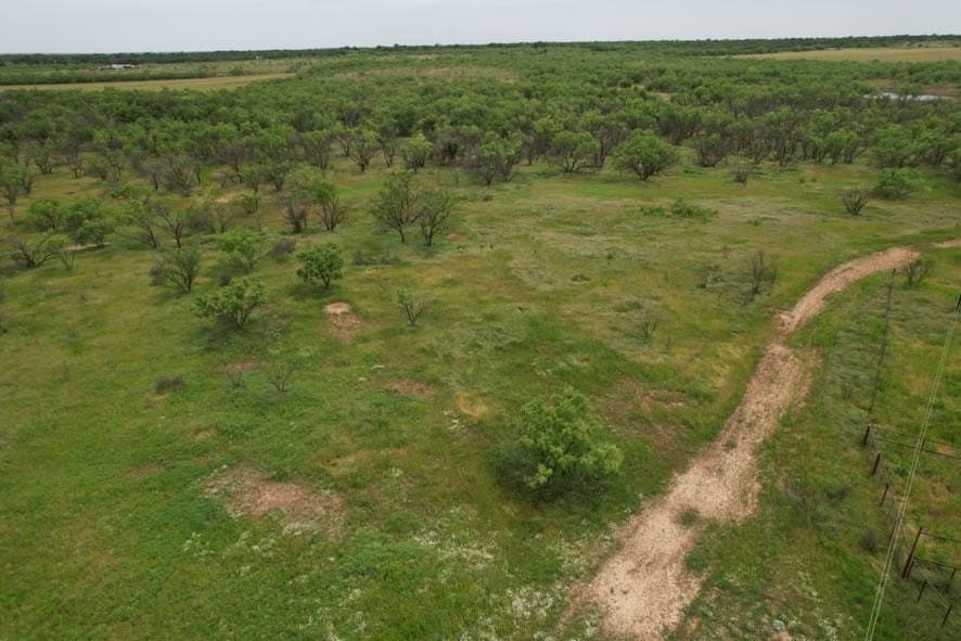 93.57 acres in Jones County - photo 23