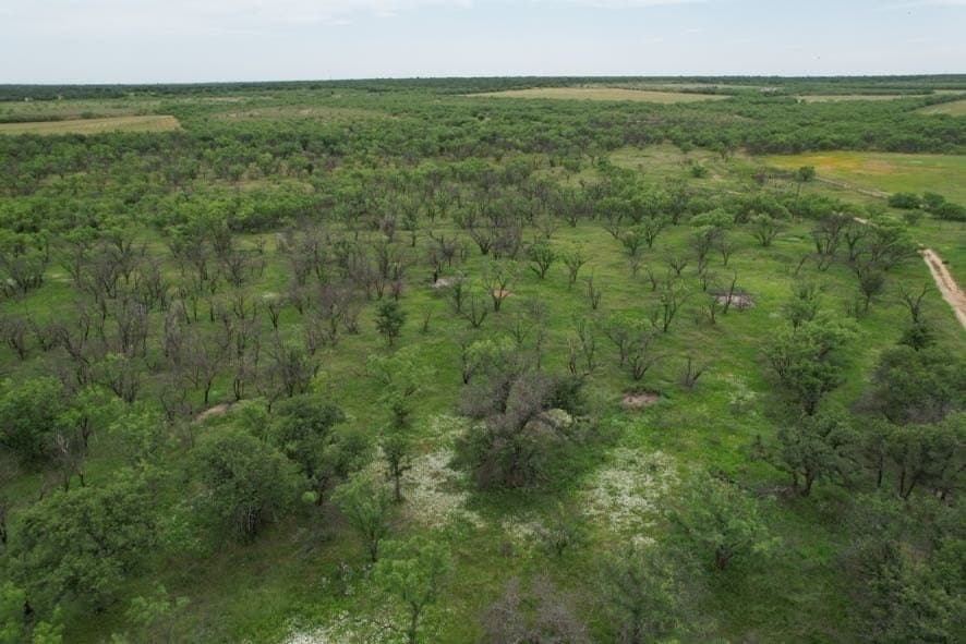 93.57 acres in Jones County - photo 12