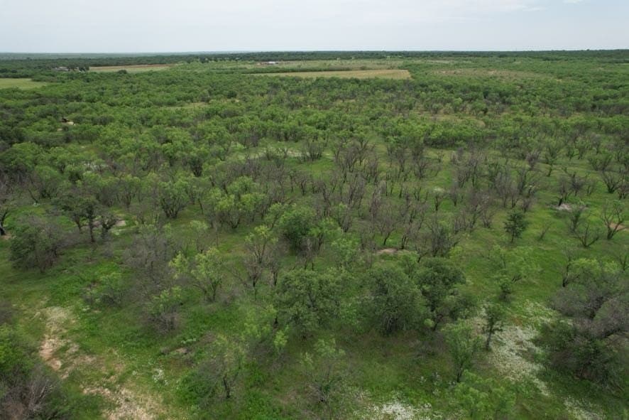 93.57 acres in Jones County - photo 13