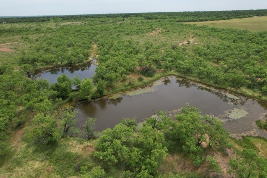 93.57 acres in Jones County - photo 6
