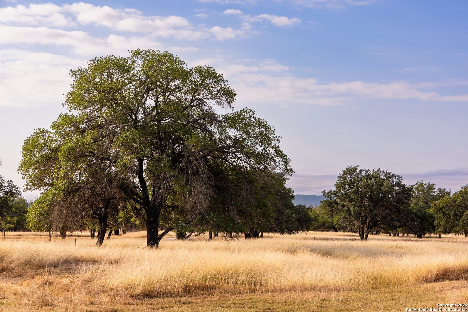 17.65 acres in Bandera County - photo 36