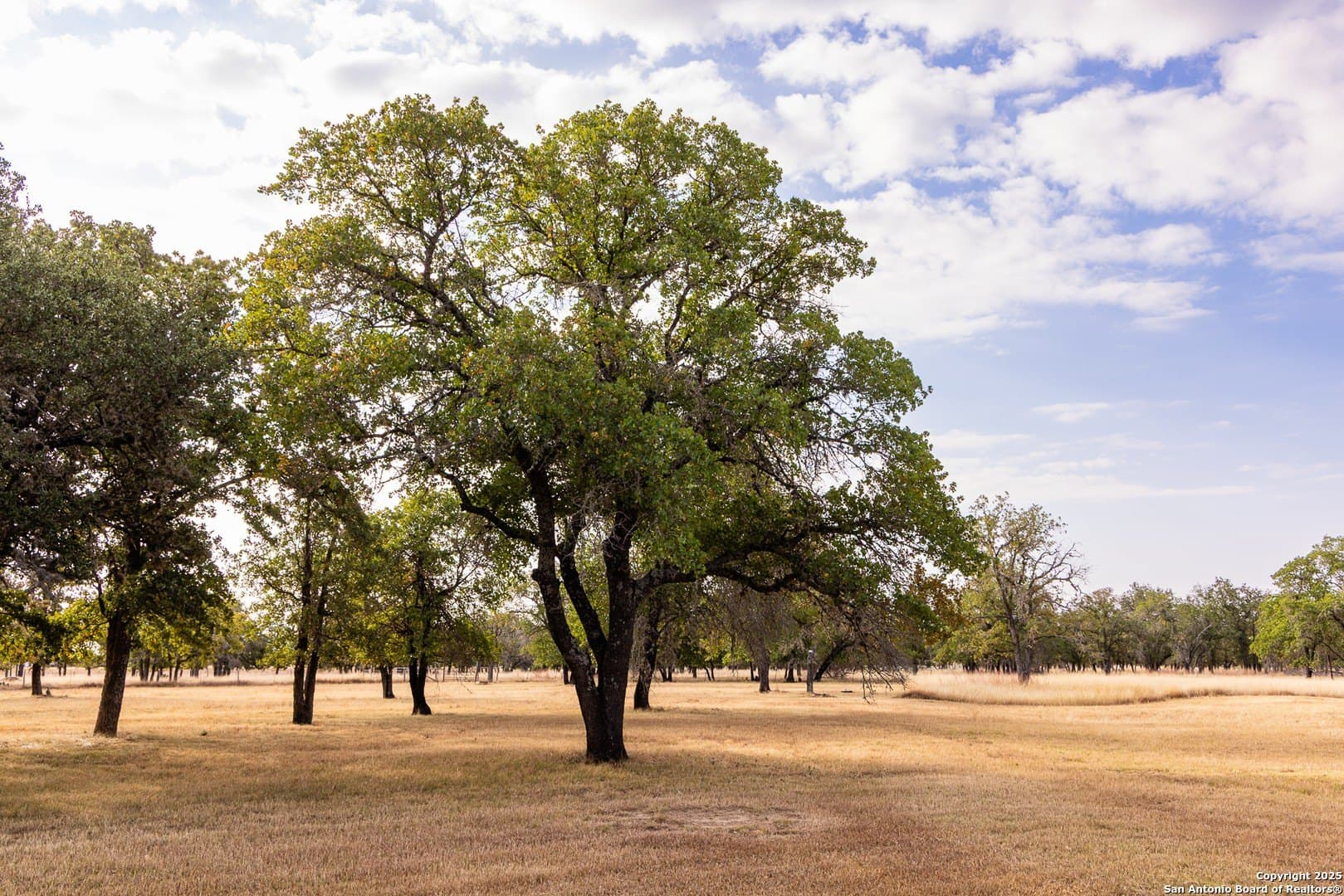 17.65 acres in Bandera County - photo 48