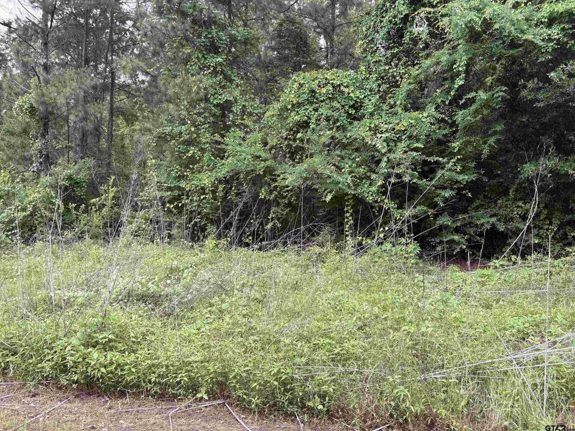 0 acres in Smith County gallery image 2