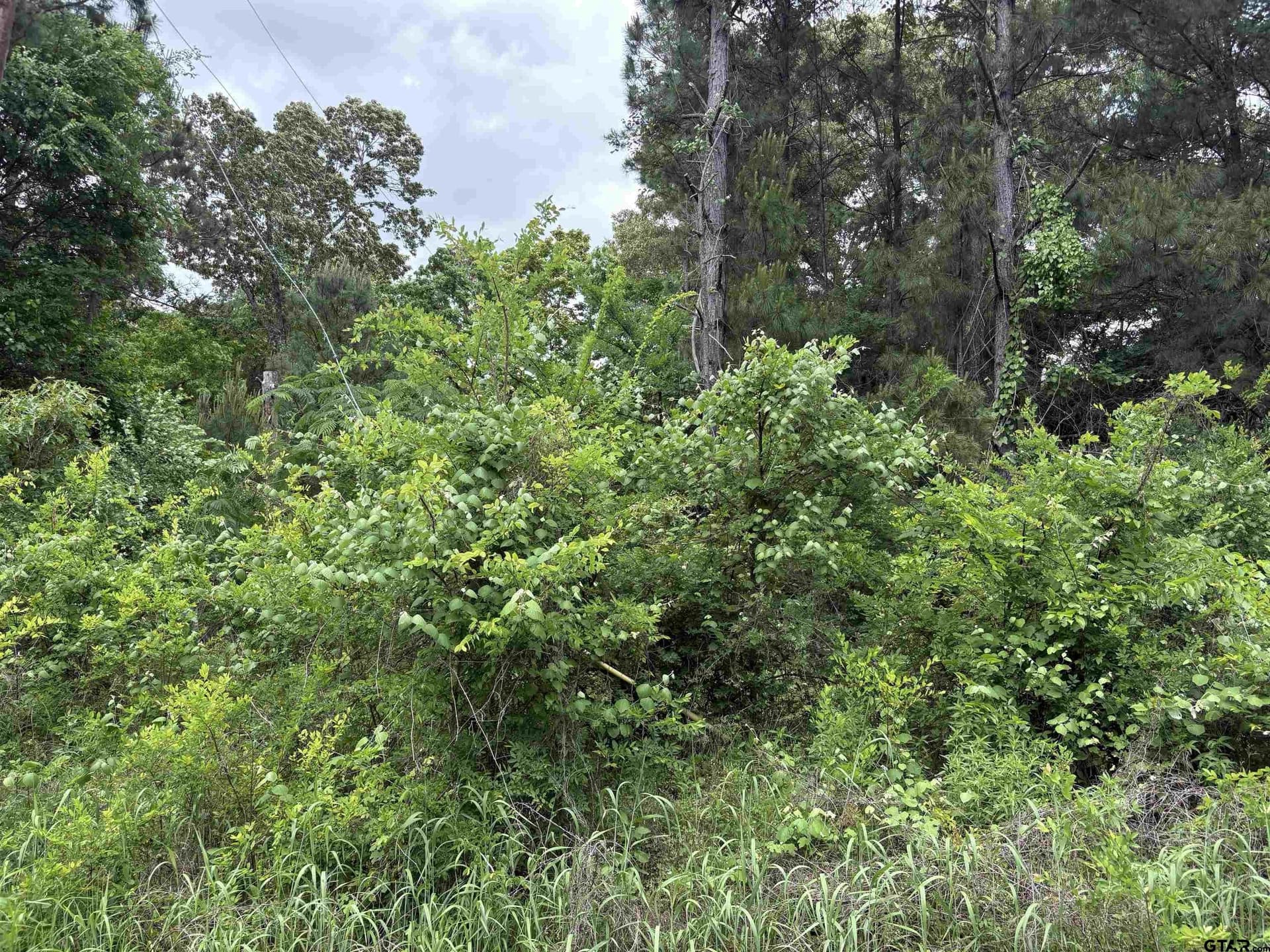 0 acres in Smith County featured view