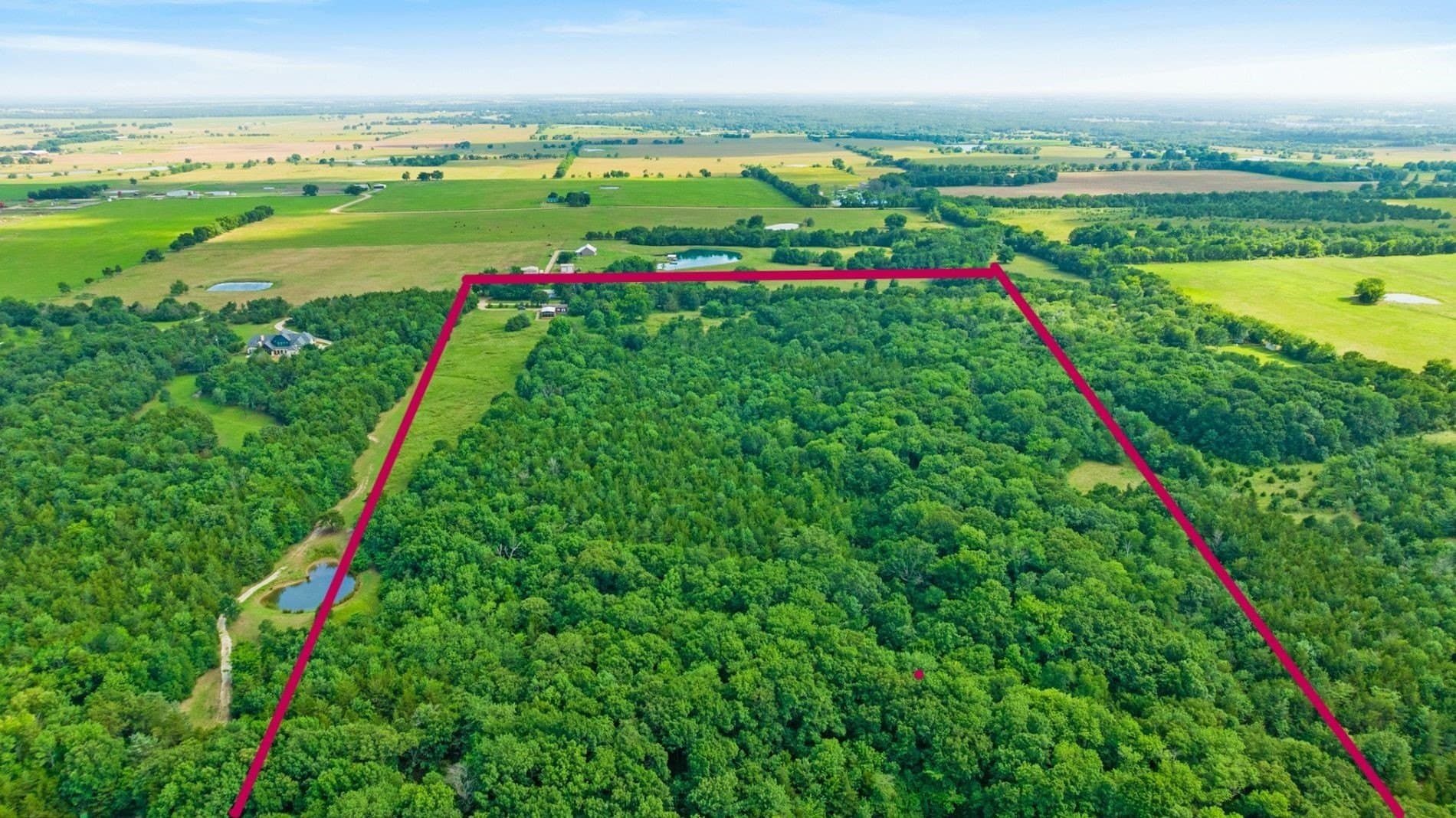 46.08 acres in Fannin County - photo 12