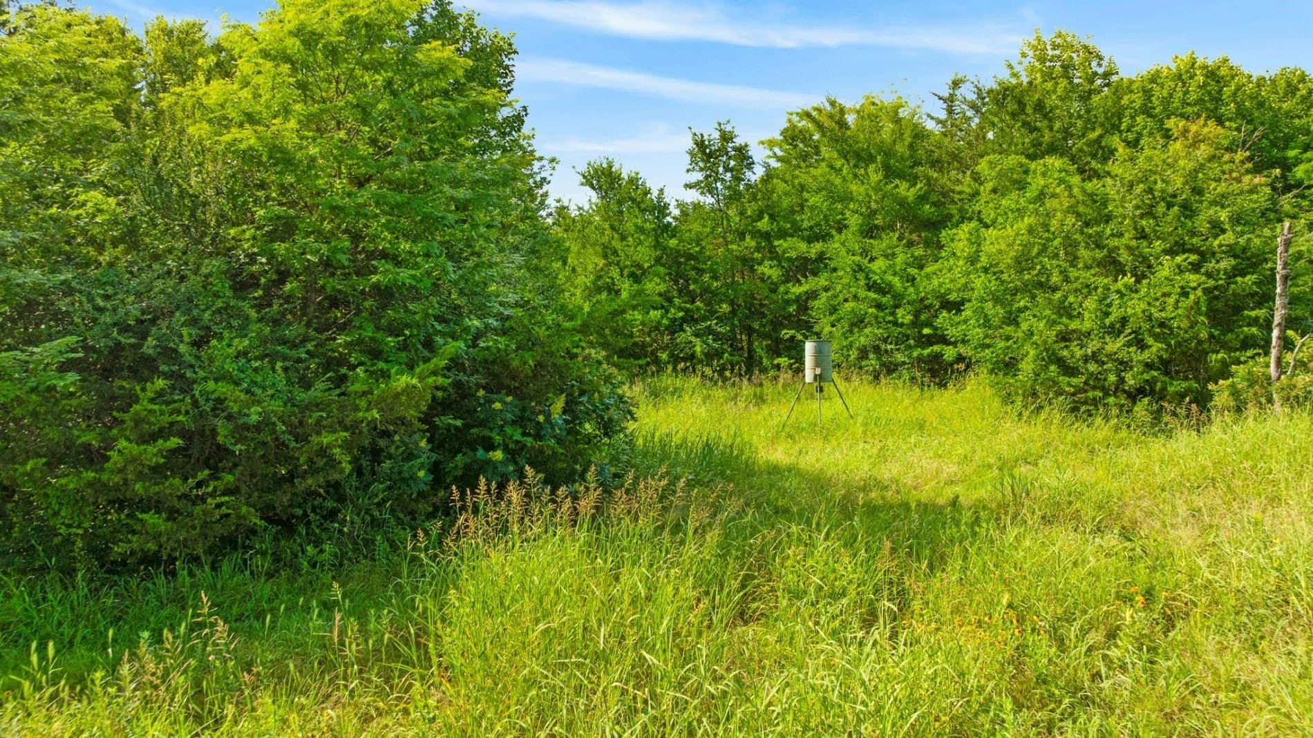 46.08 acres in Fannin County - photo 14