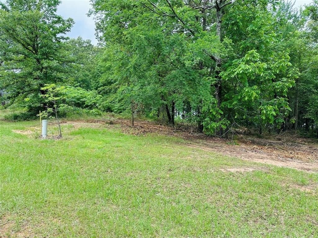 1.45 acres in Upshur County gallery image 4