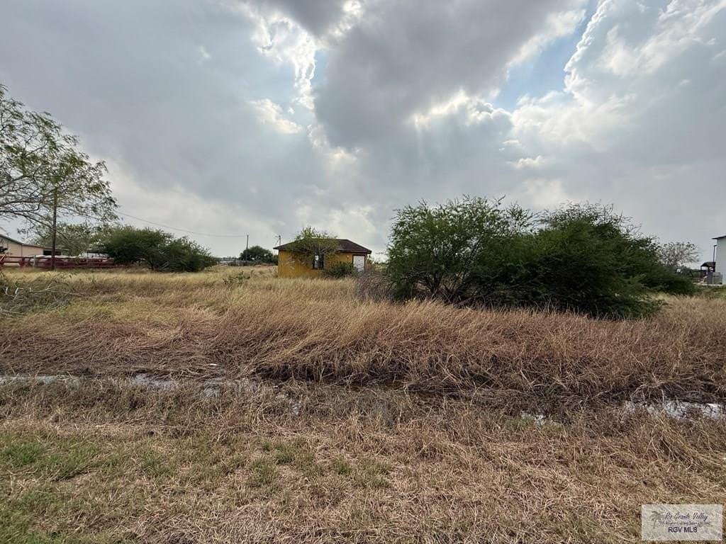 5 acres in CAMERON County gallery image 4