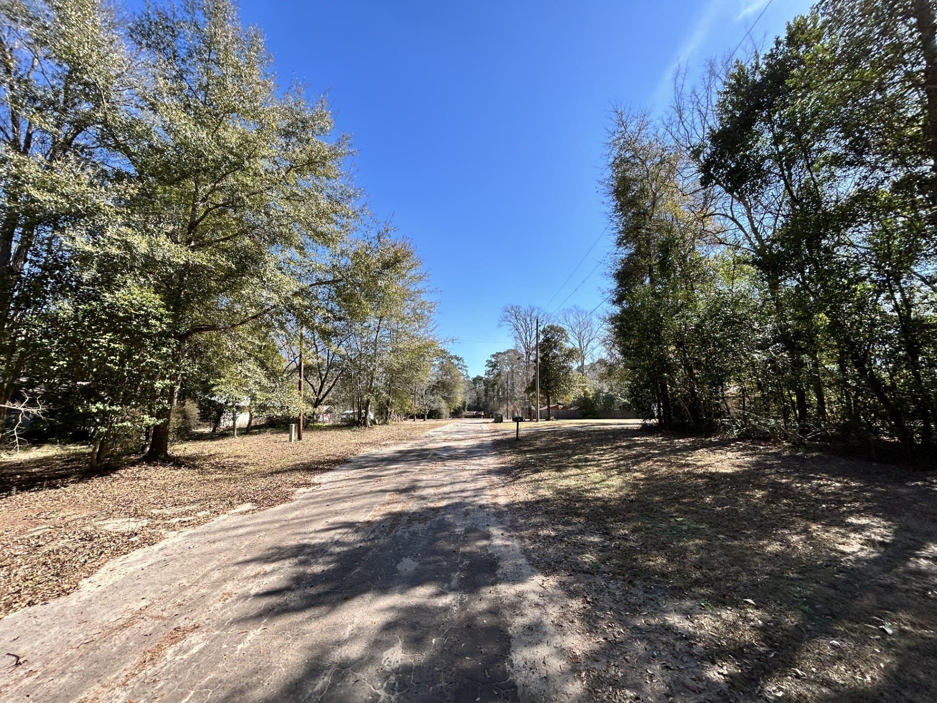 0.19 acres in Tyler County - photo 5