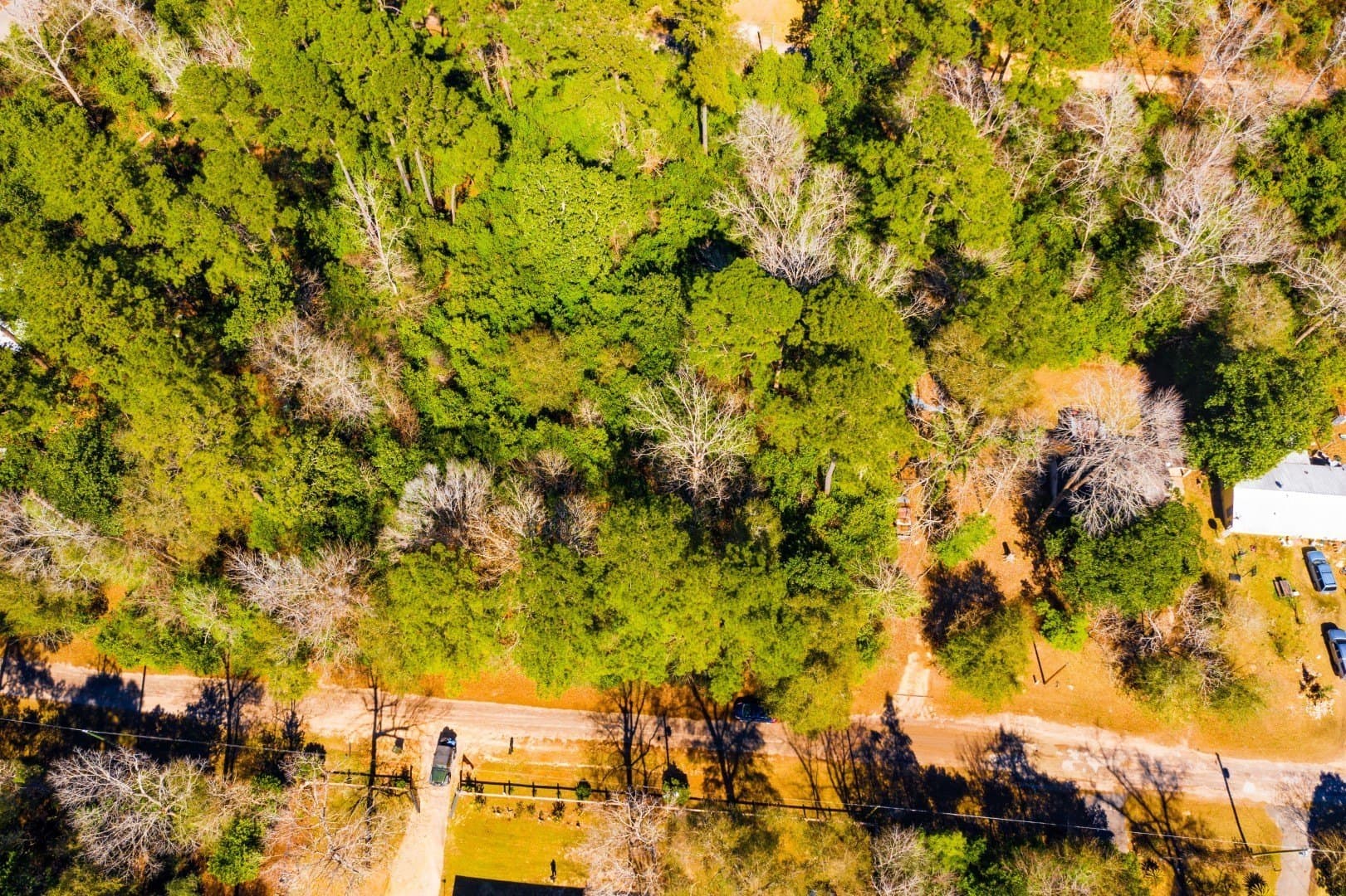 0.19 acres in Tyler County - photo 24