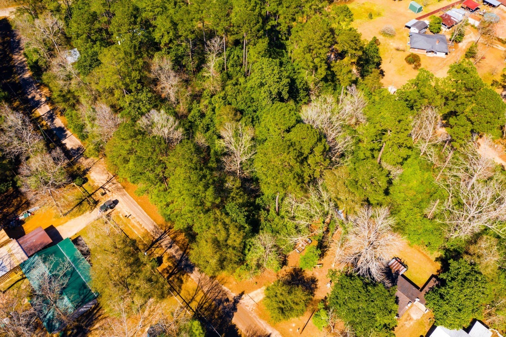 0.19 acres in Tyler County - photo 10