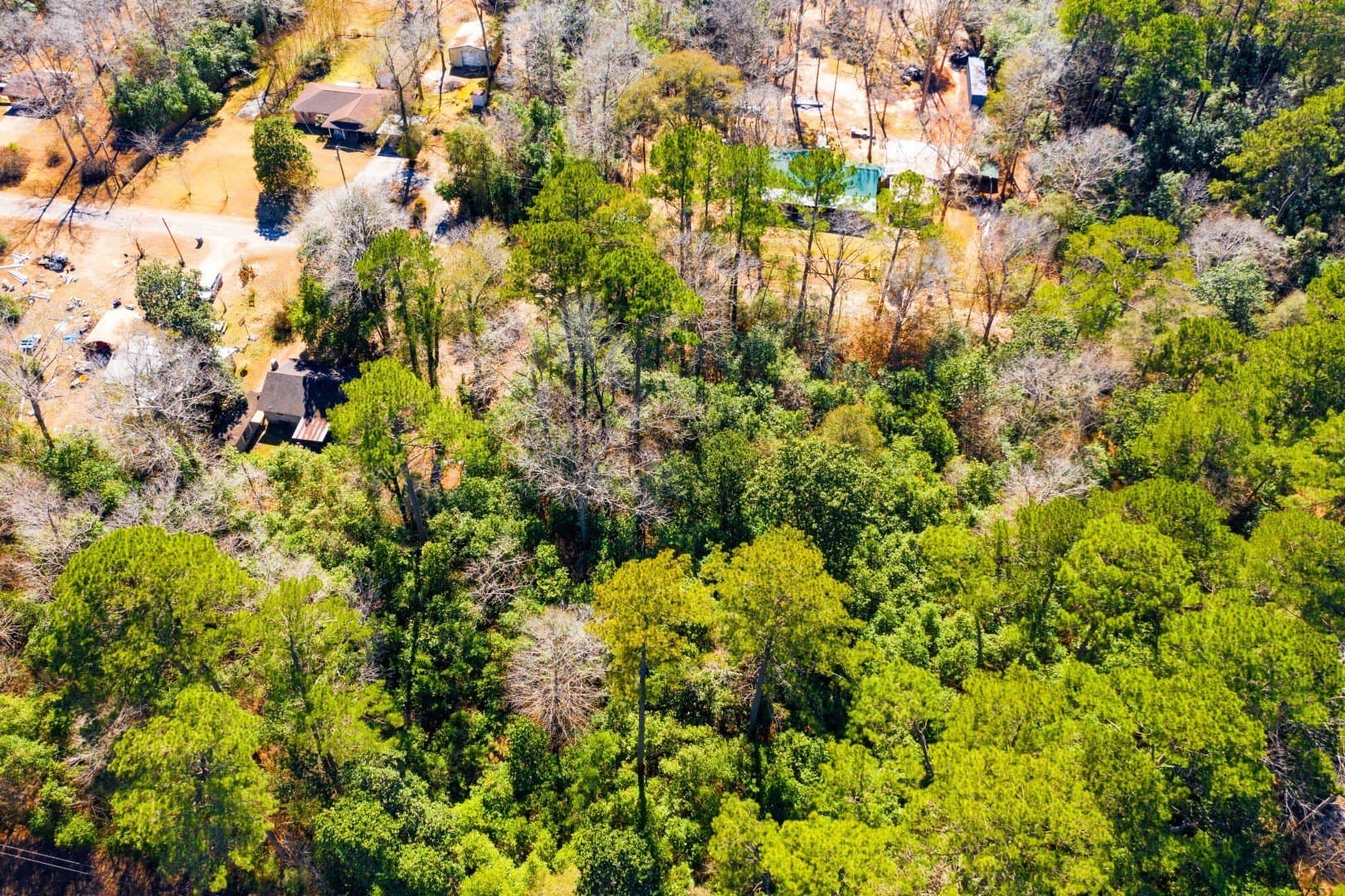 0.19 acres in Tyler County - photo 16