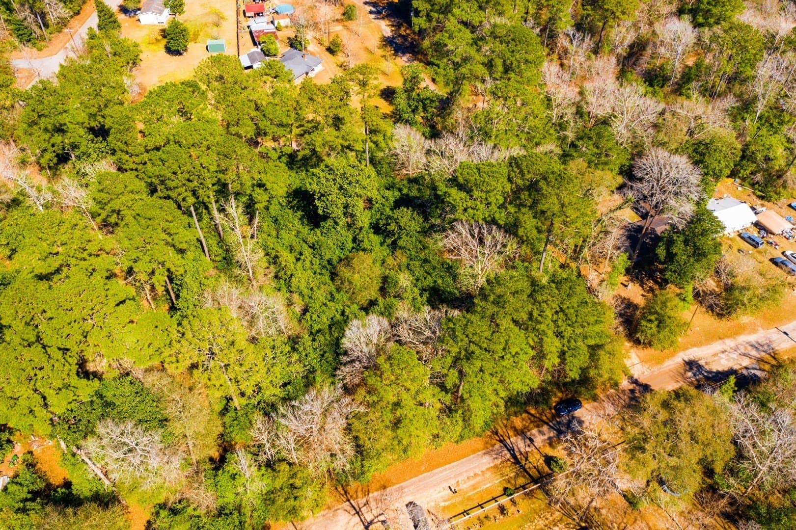 0.19 acres in Tyler County - photo 22