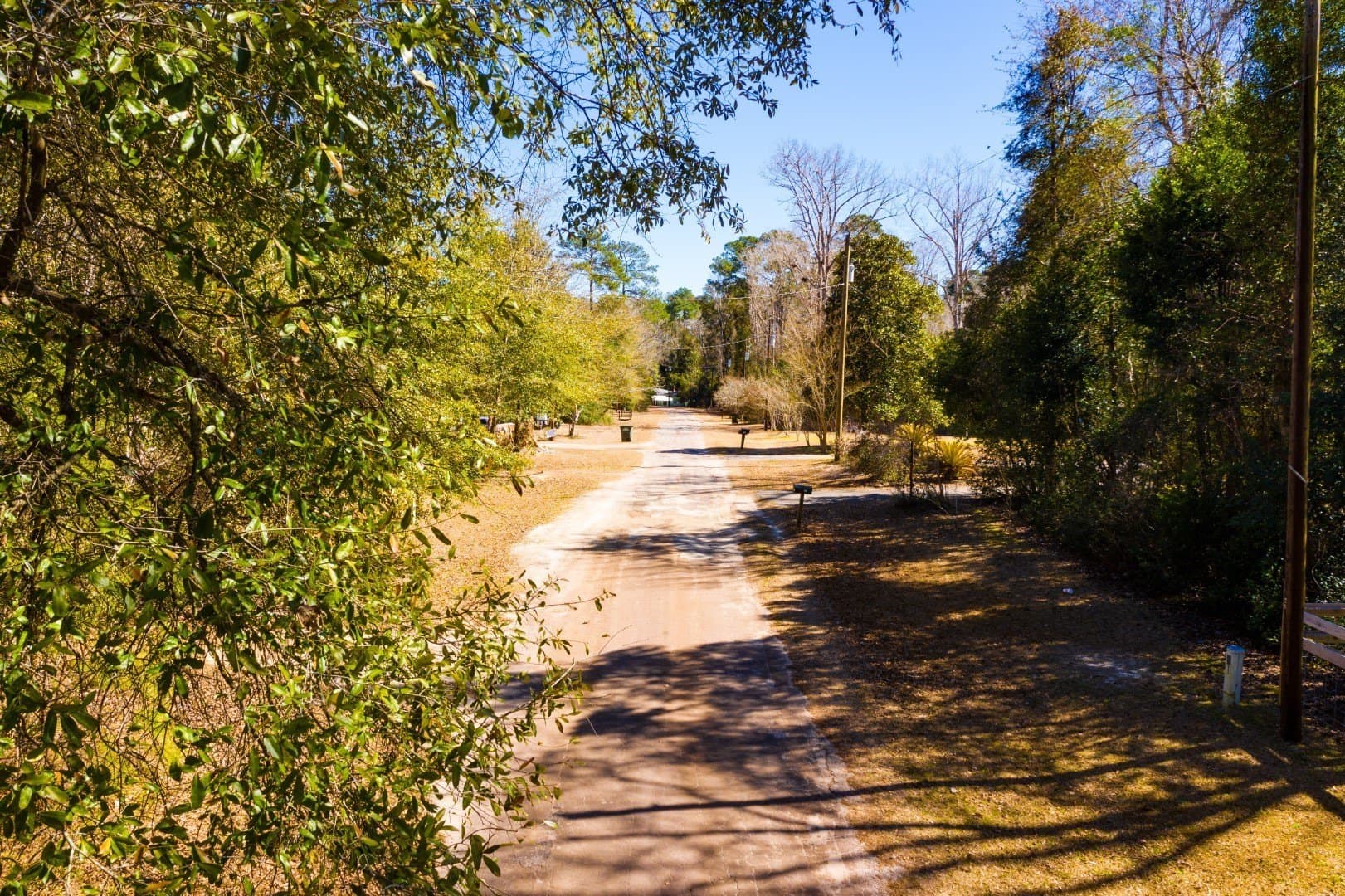 0.19 acres in Tyler County - photo 29