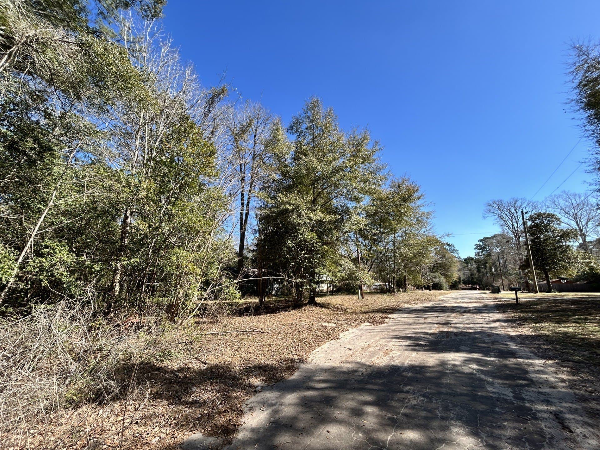 0.19 acres in Tyler County - photo 6