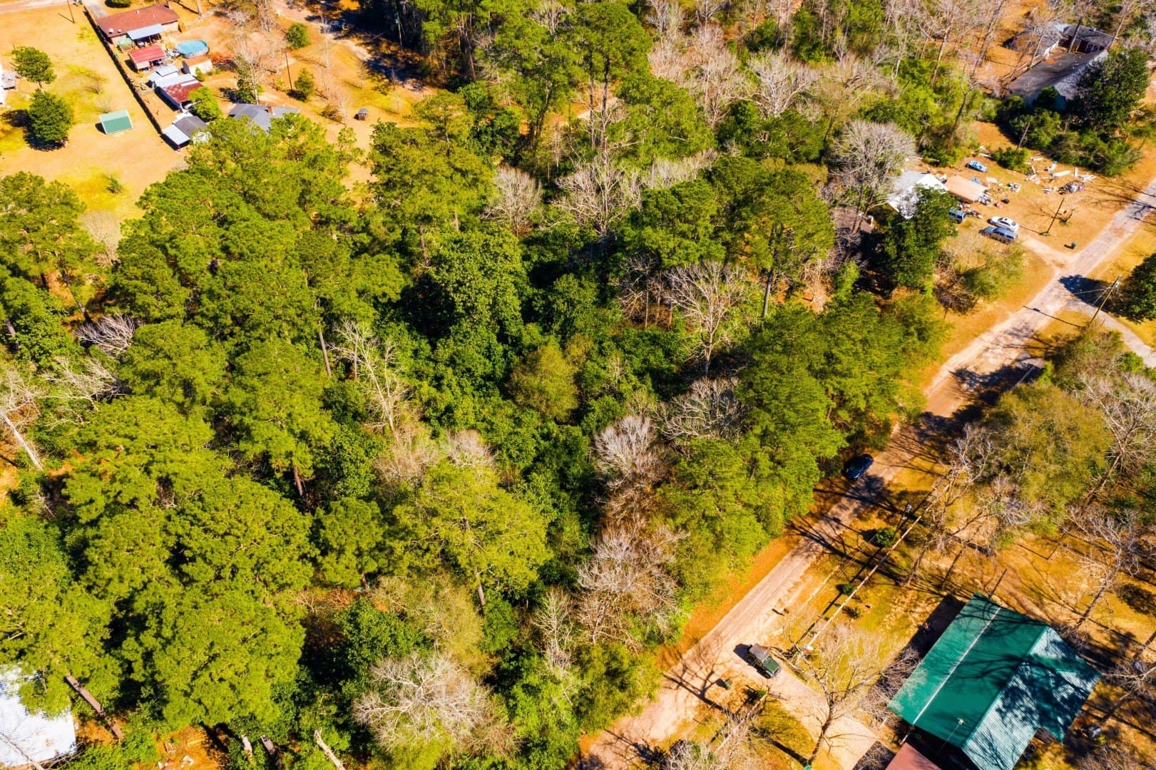 0.19 acres in Tyler County - photo 21