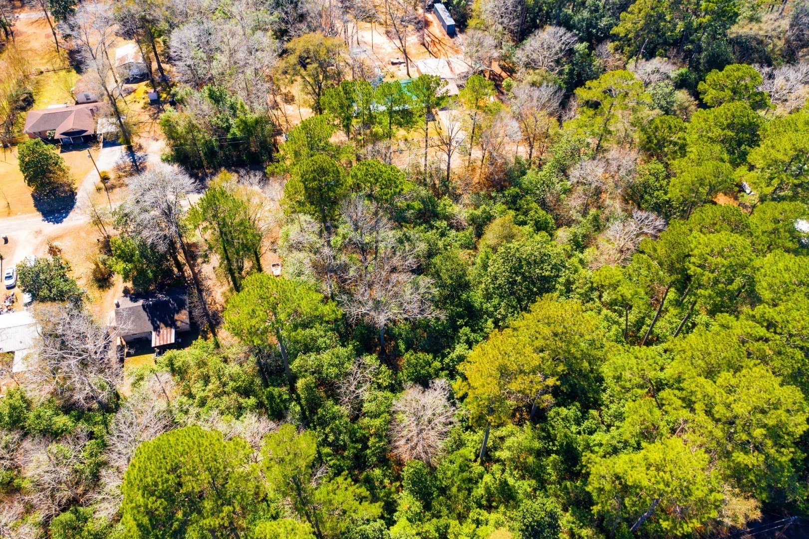0.19 acres in Tyler County - photo 15