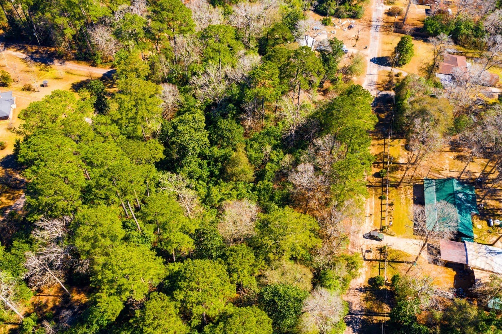 0.19 acres in Tyler County - photo 20
