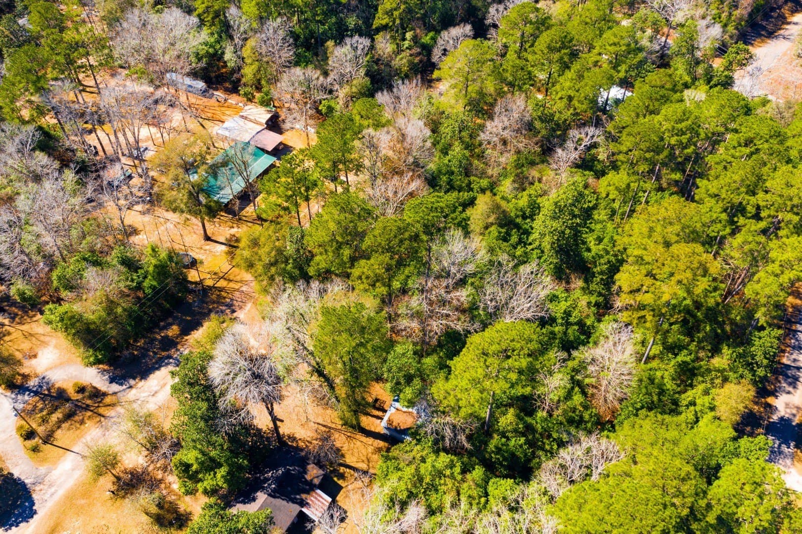 0.19 acres in Tyler County - photo 13